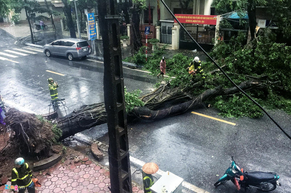 Hà Nội: Mưa sầm sập, gió quật mạnh, cây đổ, một số tuyến phố ngập sâu - Ảnh 4