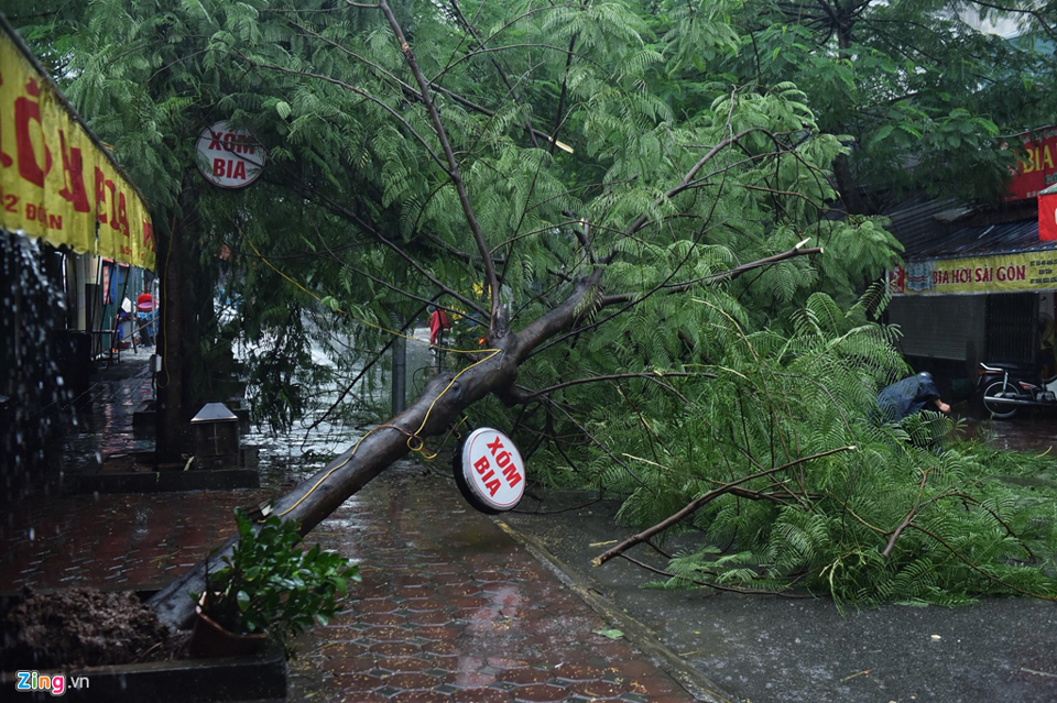 Hà Nội: Mưa sầm sập, gió quật mạnh, cây đổ, một số tuyến phố ngập sâu - Ảnh 5