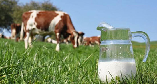 Khám phá 5 đặc quyền chỉ dành cho tín đồ của sữa organic chuẩn Hà Lan - Ảnh 1