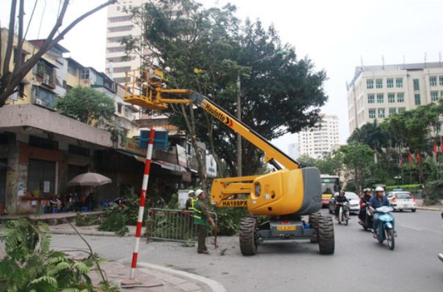 Hà Nội: Thành lập tổ cơ động ứng phó cây xanh gãy đổ do bão số 2 - Ảnh 1
