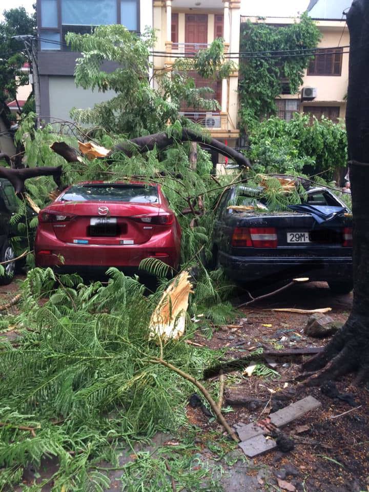 [Ảnh] Hà Nội: Mưa gió khủng khiếp, cây đổ hàng loạt khiến 1 người thiệt mạng - Ảnh 21
