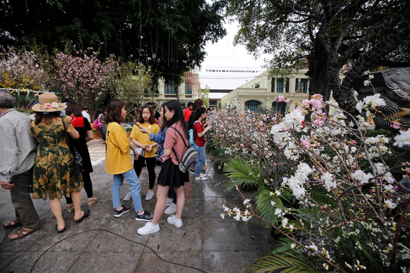 Hình ảnh người dân đến vườn hoa Lý Thái Tổ chiêm ngưỡng hoa anh đào - Ảnh 19