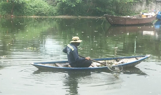 Cá chết nổi trắng kênh Phú Lộc ở Đà Nẵng - Ảnh 1