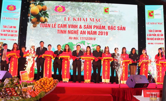 Người dân Thủ đô đổ xô mua đặc sản xứ Nghệ trong Tuần lễ cam Vinh tại Big C Thăng Long - Ảnh 1
