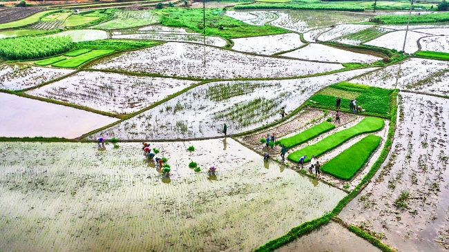 3 đợt lấy nước cho sản xuất nông nghiệp vụ Đông Xuân 2020 - Ảnh 1