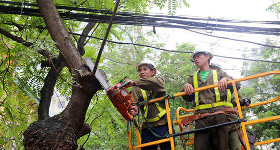 Công ty TNHH MTV Công viên cây xanh Hà Nội: Thành lập tổ cơ động ứng phó bão số 4 - Ảnh 1