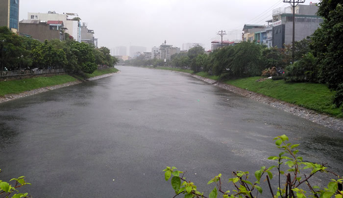 Hà Nội: Mưa sầm sập, gió quật mạnh, cây đổ, một số tuyến phố ngập sâu - Ảnh 9