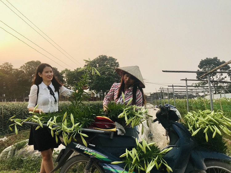 Hà Nội: Hoa loa kèn vào vụ thu hoạch, dân phấn khởi vì được mùa - Ảnh 7