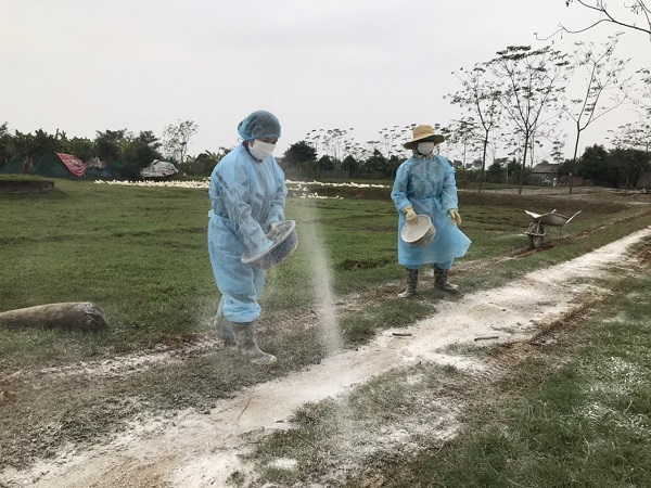 Phó Chủ tịch Thường trực UBND TP Nguyễn Văn Sửu: Không để cúm A/H5N6 lây lan - Ảnh 4