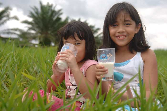 Giám đốc Nghiên cứu và Phát triển của hãng sữa Hoàng Gia Hà Lan kể chuyện Việt hóa sản phẩm - Ảnh 4