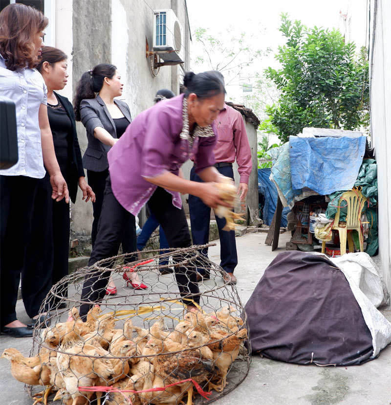 Phụ nữ Hà Đông: Hướng phong trào về cơ sở, giúp chị em thoát nghèo - Ảnh 3