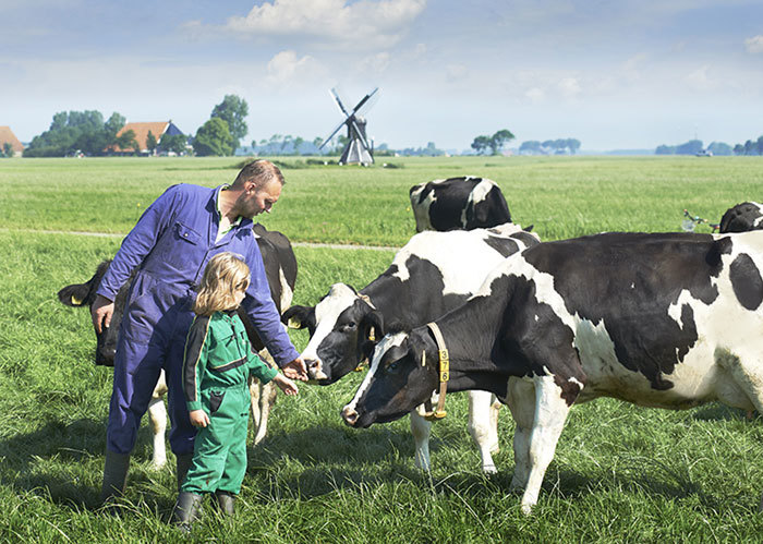 Cô Gái Hà Lan và 145 năm mang đến chất lượng chuẩn trong từng hộp sữa - Ảnh 1