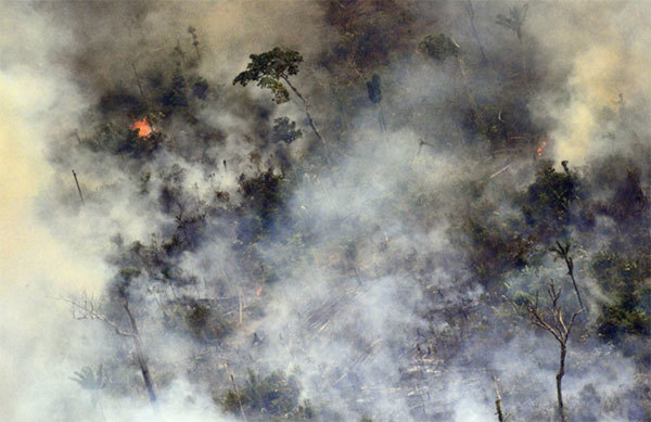 Cháy rừng Amazon: Brazil bất ngờ từ chối 20 triệu USD viện trợ khi lửa đang lan rộng - Ảnh 1