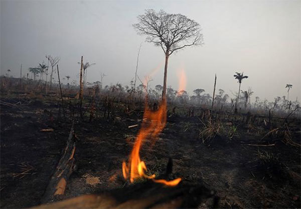 Thương chiến Mỹ - Trung "góp lửa" vào thảm họa cháy rừng Amazon - Ảnh 1