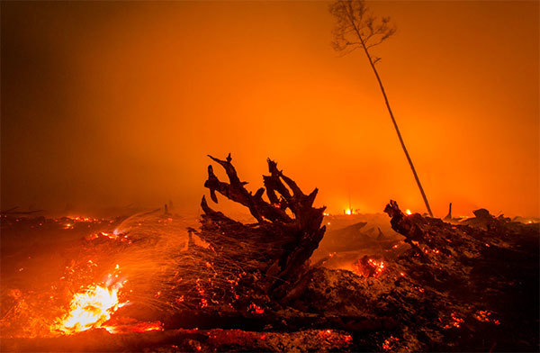 Bất cập: Indonesia dời thủ đô từ đất lụt sang rừng bị đốt cháy - Ảnh 2