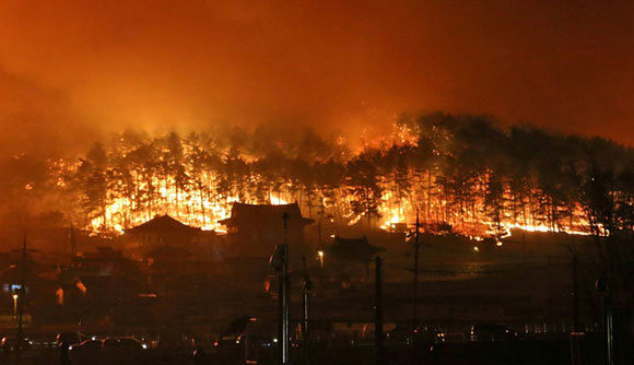 Cháy rừng nguy cơ lan tới Triều Tiên, Hàn Quốc ban bố tình trạng khẩn đầu tiên sau 12 năm - Ảnh 2