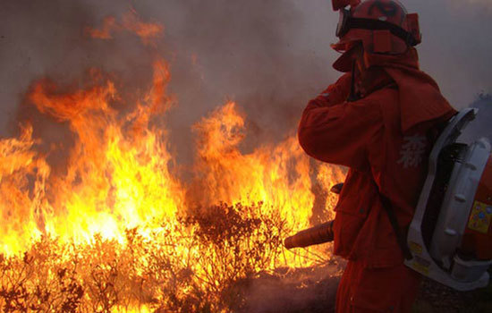 Trung Quốc: 30 lính cứu hỏa thiệt mạng do chữa cháy rừng gặp gió đổi chiều - Ảnh 1