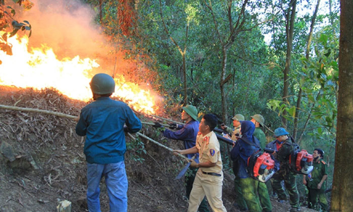 Tạm giữ đối tượng nghi gây ra vụ cháy rừng tại Hà Tĩnh - Ảnh 1