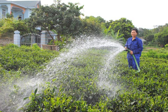 Tăng trưởng nông nghiệp Hà Nội 10 năm đạt trung bình 3,34% - Ảnh 1