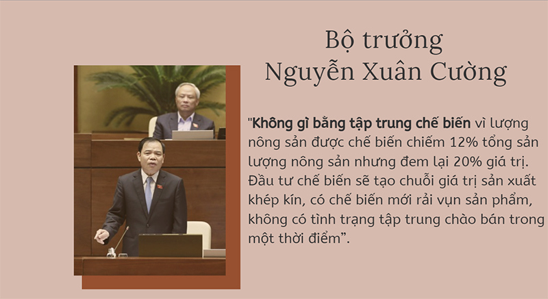 Nhóm cây cà phê, cao su: "Lôi kéo doanh nghiệp vào để chế biến" - Ảnh 1