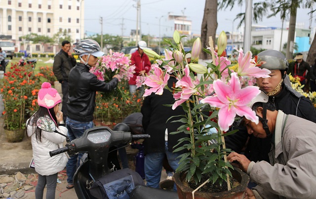 Đà Nẵng đấu giá 164 lô bày bán chợ hoa Tết - Ảnh 1