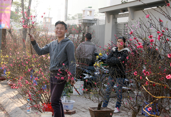 Hà Nội tổ chức 63 chợ hoa xuân phục vụ Tết Nguyên đán Mậu Tuất - Ảnh 1