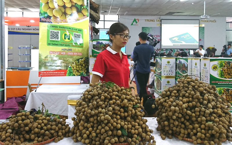 Dịp nghỉ Lễ 2/9, mua sắm gì ở Hà Nội? - Ảnh 2