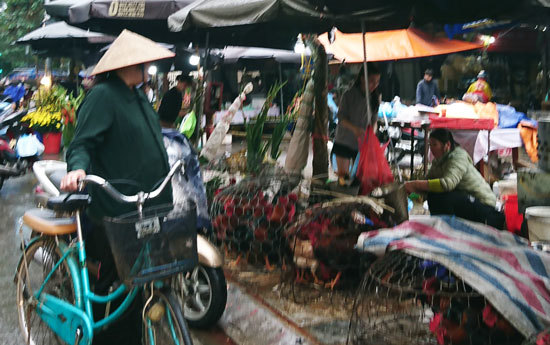 Hà Nội: Phiên chợ sáng 30 Tết, nhiều mặt hàng vẫn tăng giá - Ảnh 4