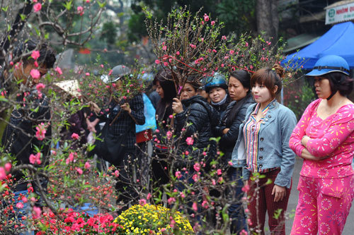 Hà Nội tổ chức 64 chợ hoa Xuân phục vụ Tết Nguyên đán Kỷ Hợi 2019 - Ảnh 1