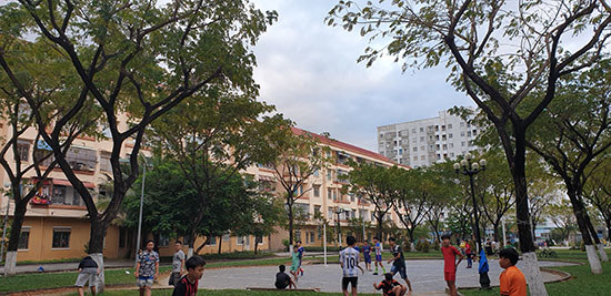 Đà Nẵng: Phát hiện trường hợp mạo danh phát hành thông báo bố trí nhà chung cư - Ảnh 1
