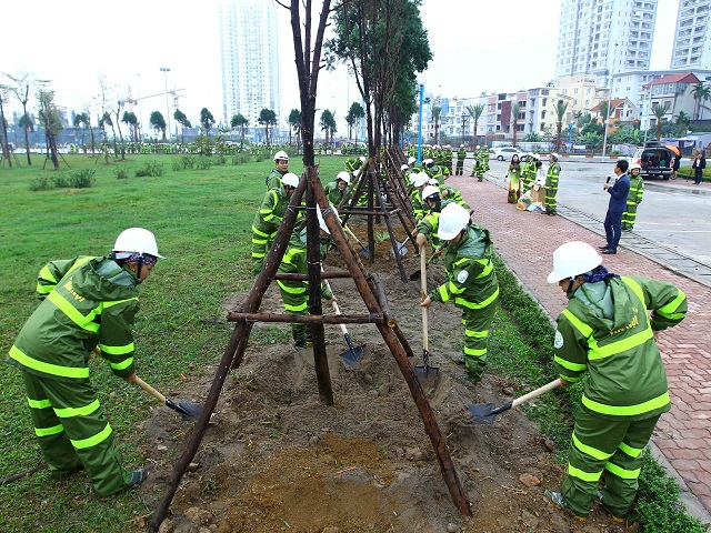 Hà Nội với những con đường xanh - Ảnh 5