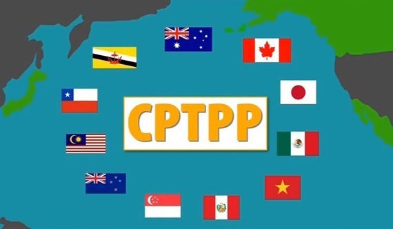 Thủ tướng chỉ định cơ quan đầu mối triển khai Hiệp định CPTPP - Ảnh 1