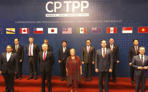 Hiệp định CPTPP chính thức có hiệu lực từ ngày hôm nay - Ảnh 1