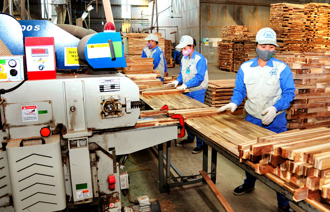 Phát triển bền vững ngành công nghiệp chế biến gỗ phục vụ xuất khẩu - Ảnh 1