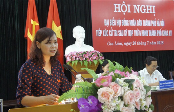 Đại biểu HĐND TP Hà Nội tiếp xúc cử tri huyện Gia Lâm - Ảnh 1