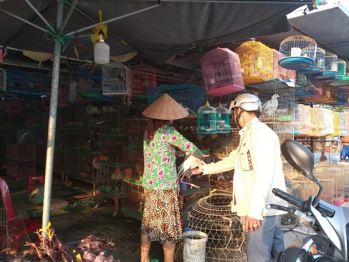 TP Hồ Chí Minh: Tăng cường công tác phòng chống dịch cúm gia cầm - Ảnh 1