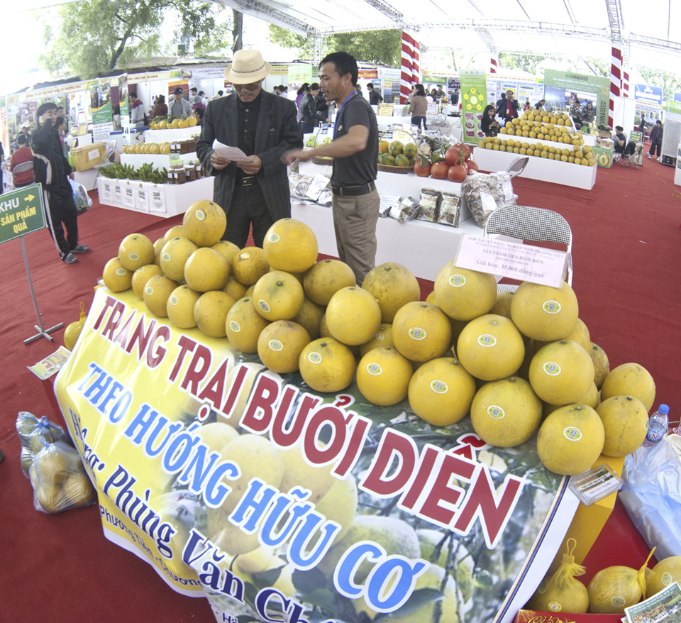 [Ảnh] Ấn tượng Festival sản phẩm nông nghiệp và làng nghề Hà Nội lần thứ nhất - Ảnh 12