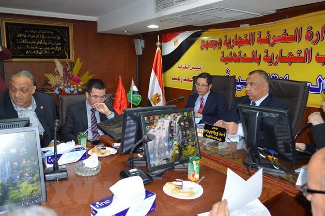 Việt Nam và Ai Cập sẽ mở rộng hợp tác trên nhiều lĩnh vực - Ảnh 1