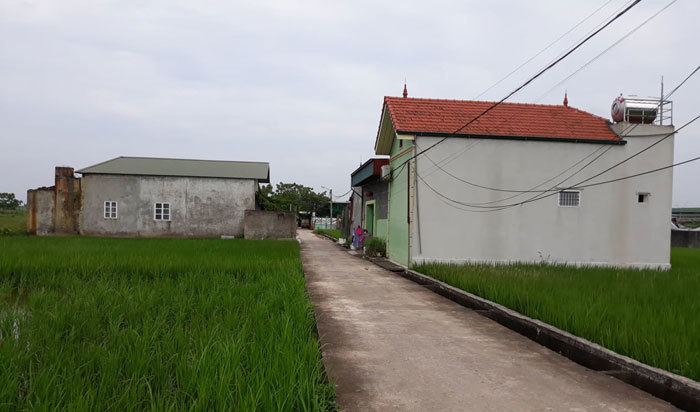 Huyện Quốc Oai: Dân làm đơn thỉnh cầu vì xây nhà trên đất nông nghiệp - Ảnh 1