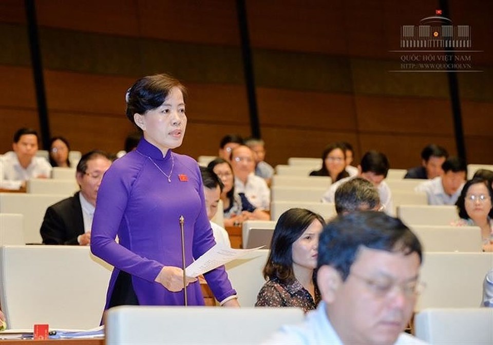Bộ trưởng Đào Ngọc Dung: Việt Nam đủ khung pháp lý xử lý hành vi xâm hại trẻ em - Ảnh 3