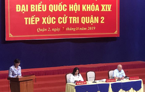 TP Hồ Chí Minh: Cử tri lại đề nghị thanh tra toàn diện dự án khu đô thị mới Thủ Thiêm - Ảnh 1