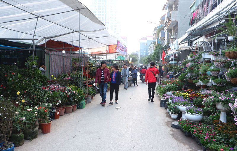Chợ hoa – sinh vật cảnh Vạn Phúc, nơi hội tụ những mặt hàng chơi Tết - Ảnh 3