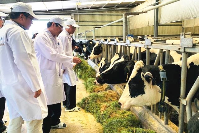 Vì sao xuất khẩu sữa sang Trung Quốc đang rất tiềm năng cho Việt Nam? - Ảnh 1