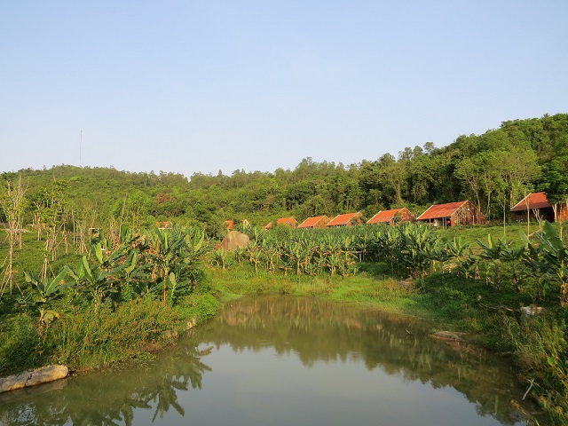 Khu du lịch sinh thái Diễn Lâm: Nơi trải nghiệm cung bậc cuộc sống - Ảnh 4