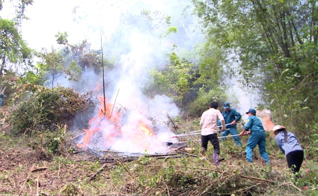 Nguy cơ cháy rừng “cực kỳ nguy hiểm”, Bộ Nông nghiệp đề nghị cấp bách phòng chống - Ảnh 1