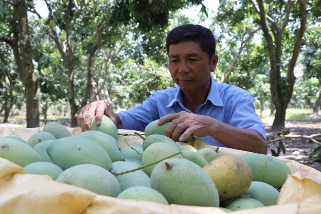Kêu gọi doanh nghiệp Thụy Sĩ đầu tư vào nông nghiệp tại Việt Nam - Ảnh 1