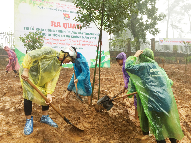 Tuổi trẻ Thủ đô “đội mưa” trồng 600 cây xanh tại Khu di tích K9 - Ảnh 3