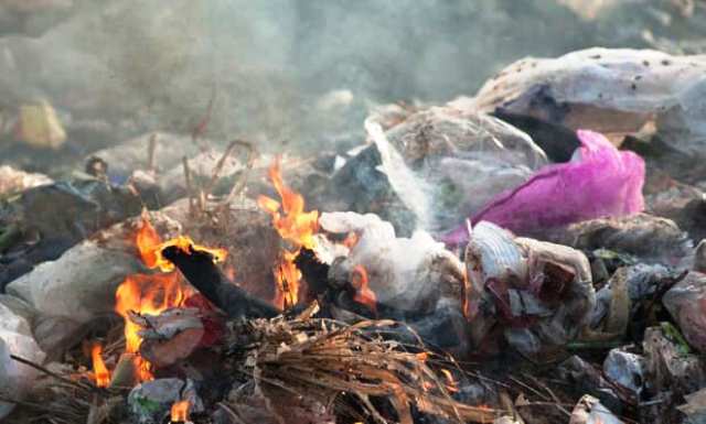 Sóc Sơn nghiêm cấm việc đốt lá cây, rác thải - Ảnh 1
