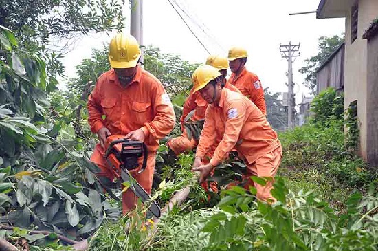 EVN HANOI chủ động không để xảy ra tai nạn về điện trong mùa mưa bão - Ảnh 2