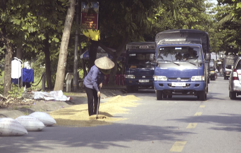 Hà Nội: Phơi thóc trên đường gây mất an toàn giao thông - Ảnh 1